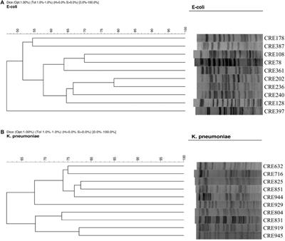 Antimicrobial Activity of Lactobacillus Species Against Carbapenem-Resistant Enterobacteriaceae